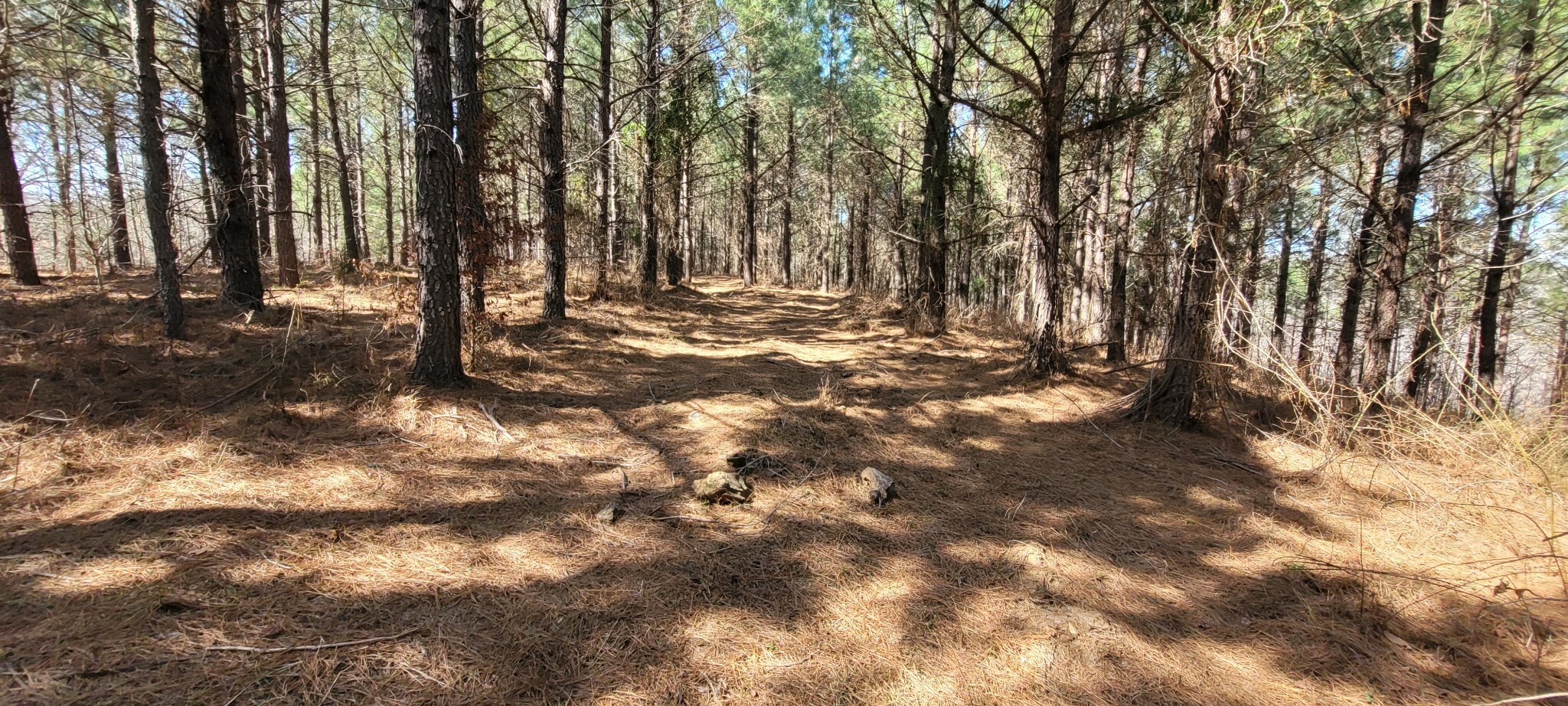 Property Photo: 1 Saddleback Dr TN 37058