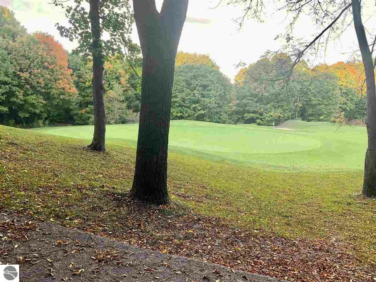 Property Photo: Lot 183 Troon South MI 49615