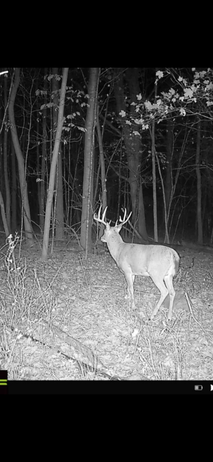 Property Photo:  Xx1 County Road 3  MN 56340 