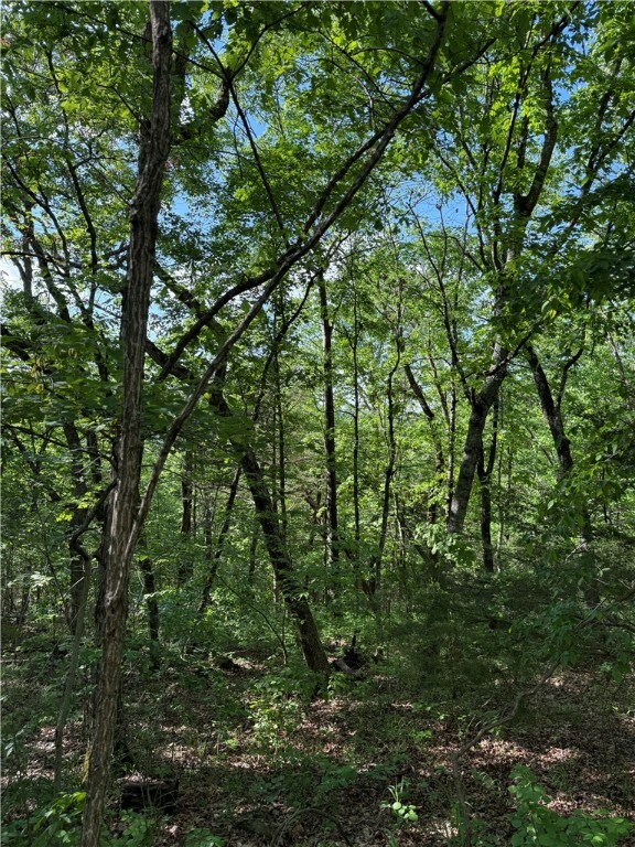 Property Photo: Woodside Lane AR 72631