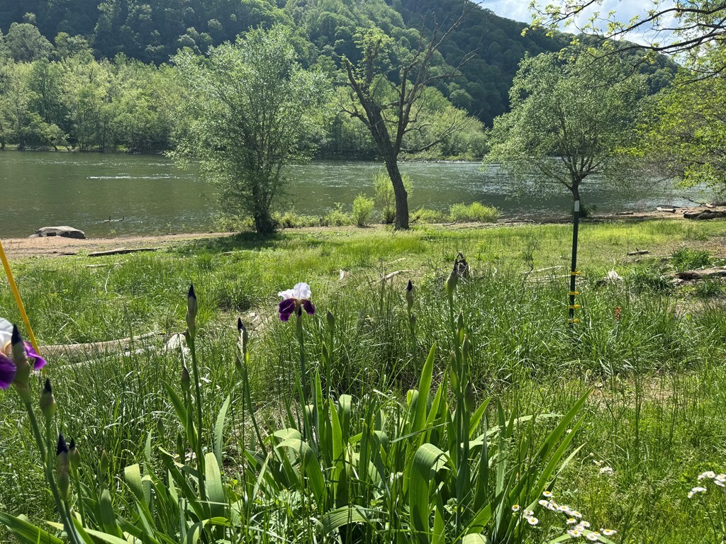 Property Photo: 49 N Riverside Rd WV 25977