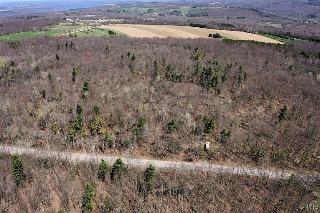 Swartz Road  Dansville NY 14437 photo