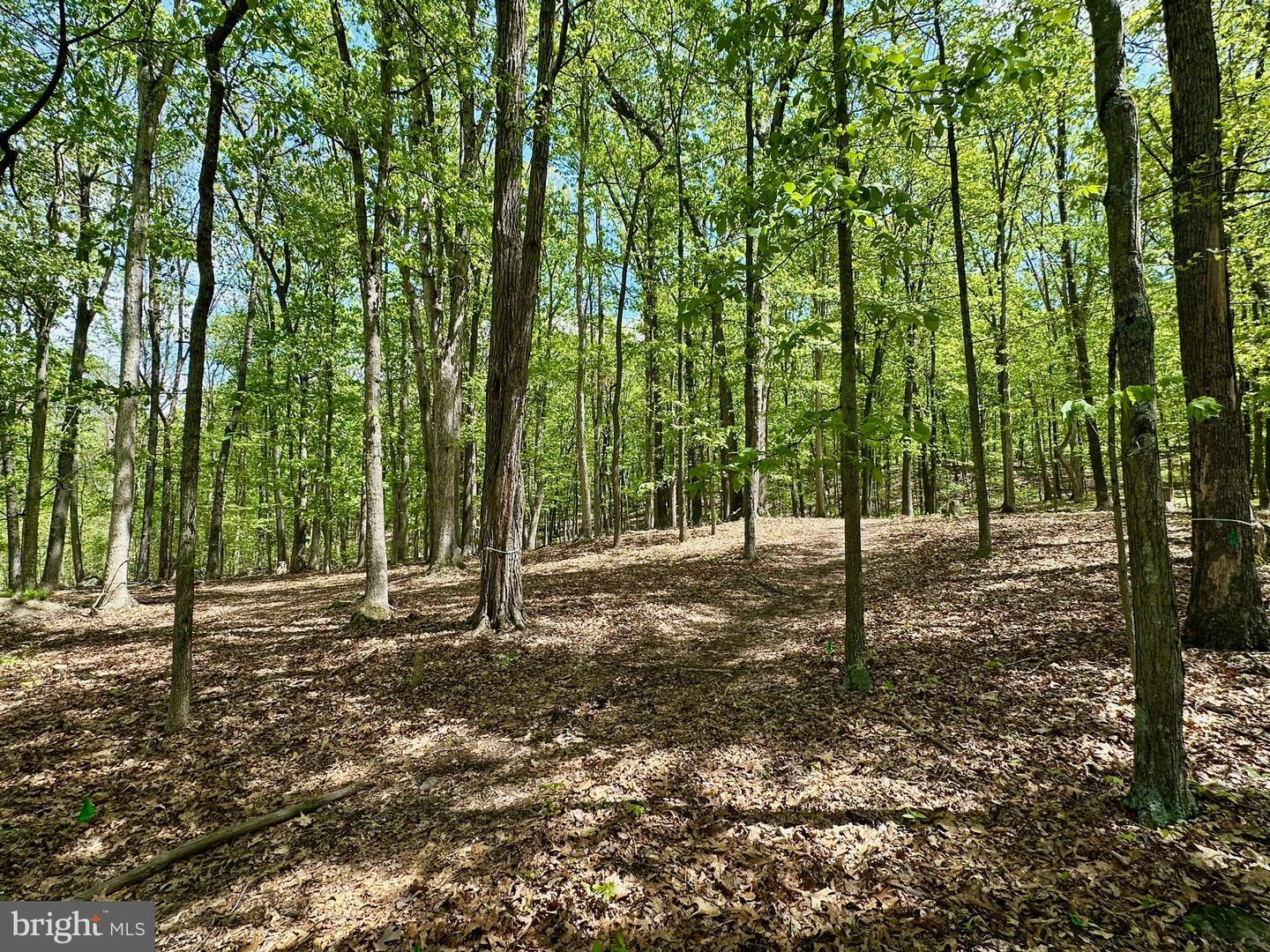 Property Photo: 125 Ender Drive WV 26836