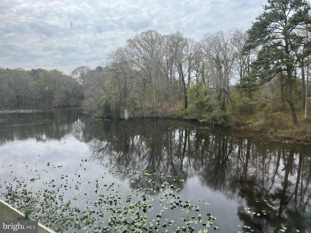 Property Photo: 228 Canal Park Drive G210 MD 21804