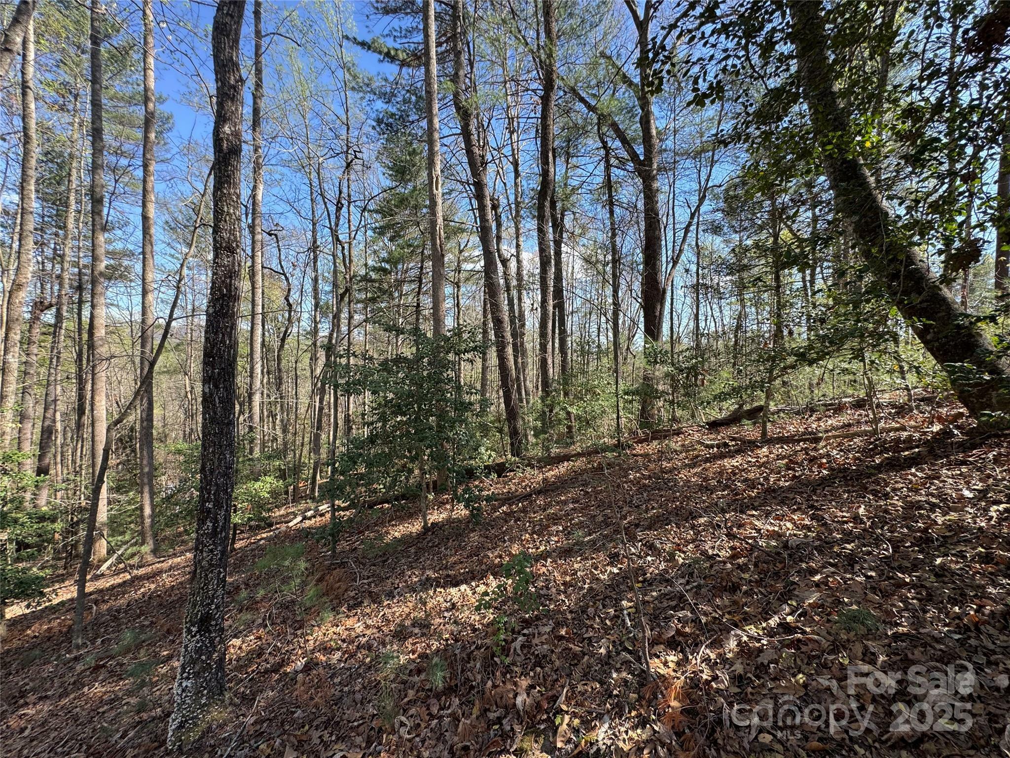 Property Photo: 0 Rusty Lane NC 28645