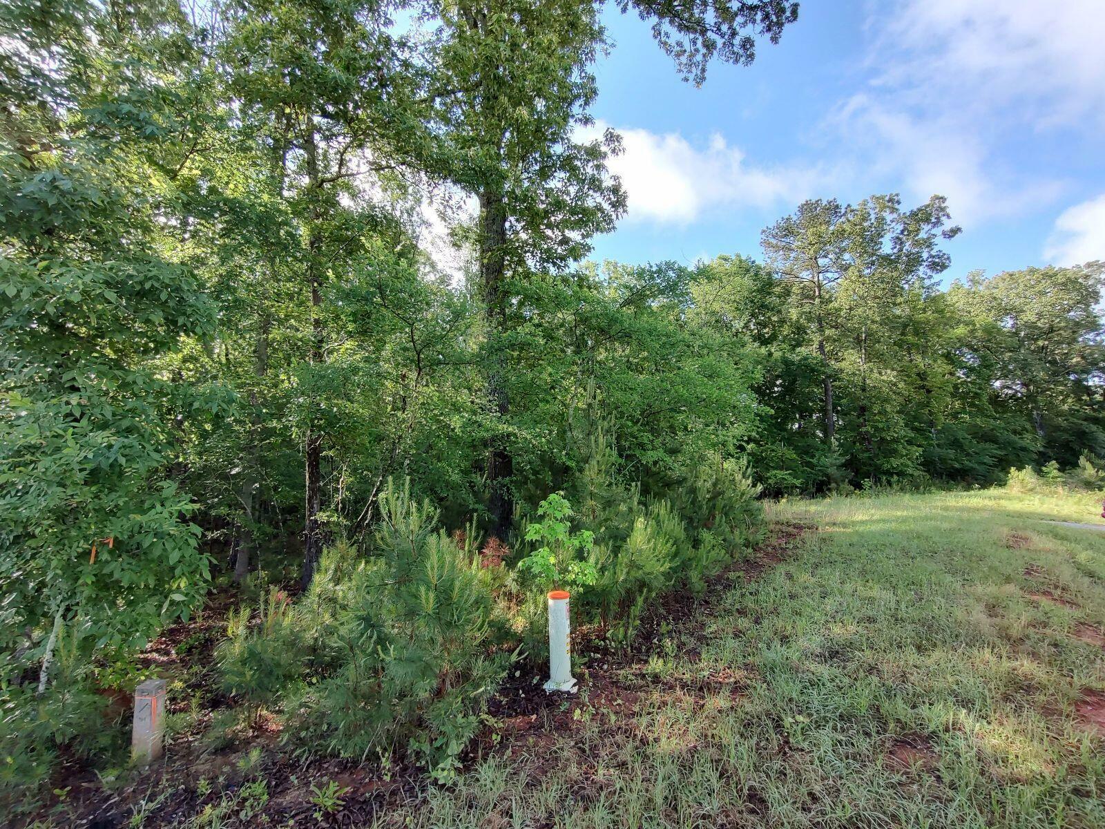 Property Photo: 000 Bellewood Drive Lot B GA 30673