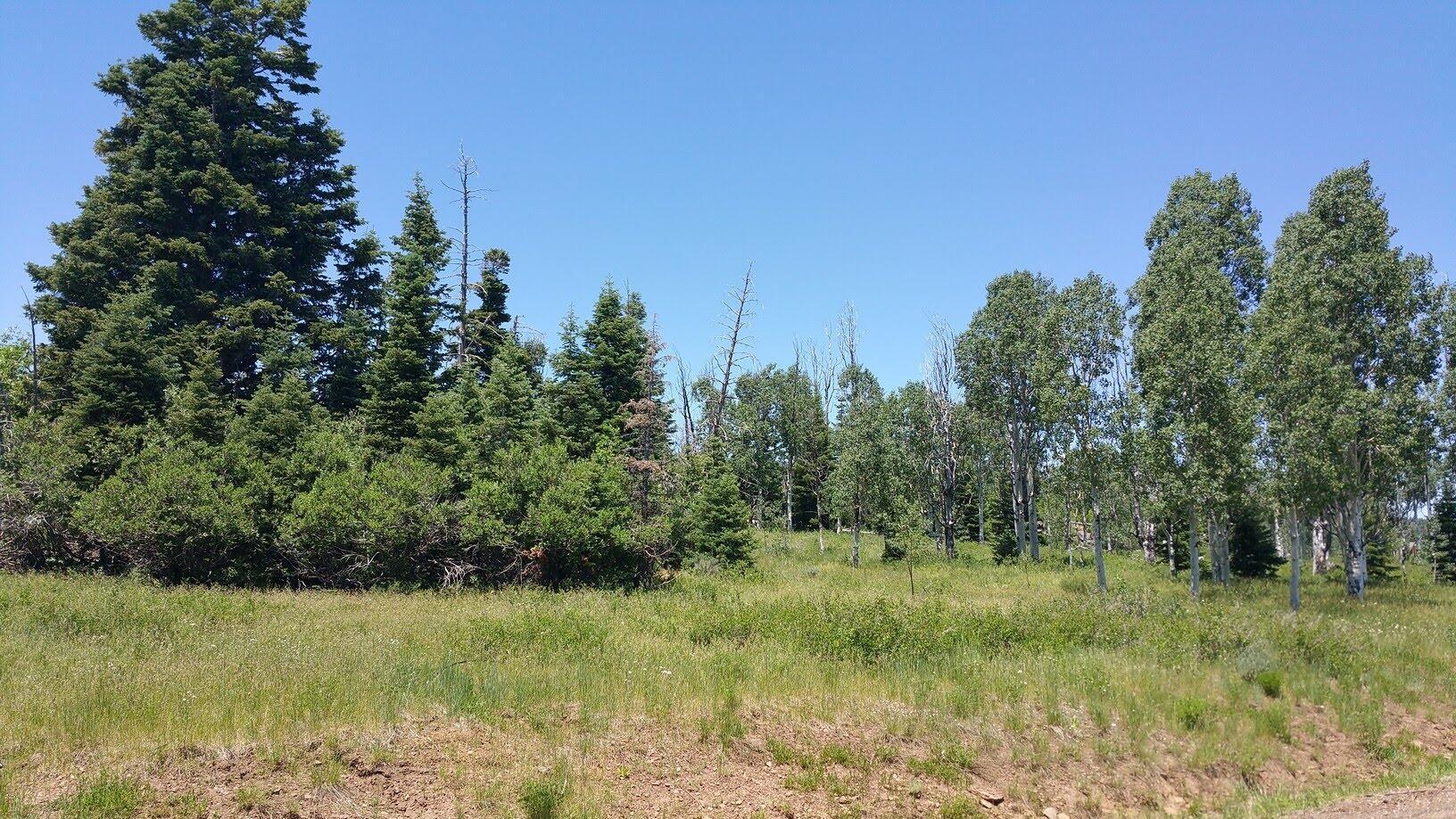 Property Photo: 271 N Whispering Pines Rd UT 84779