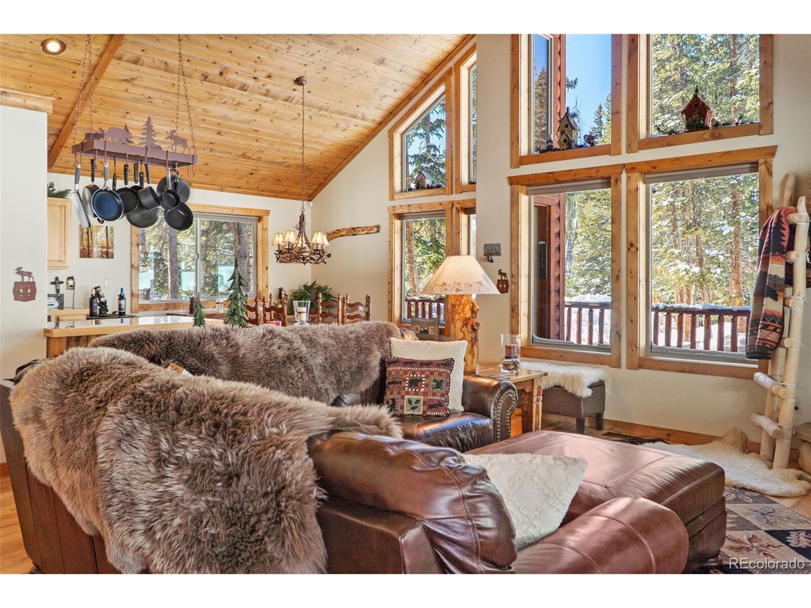 Property Photo:  199 Sacramento Dr  CO 80440 