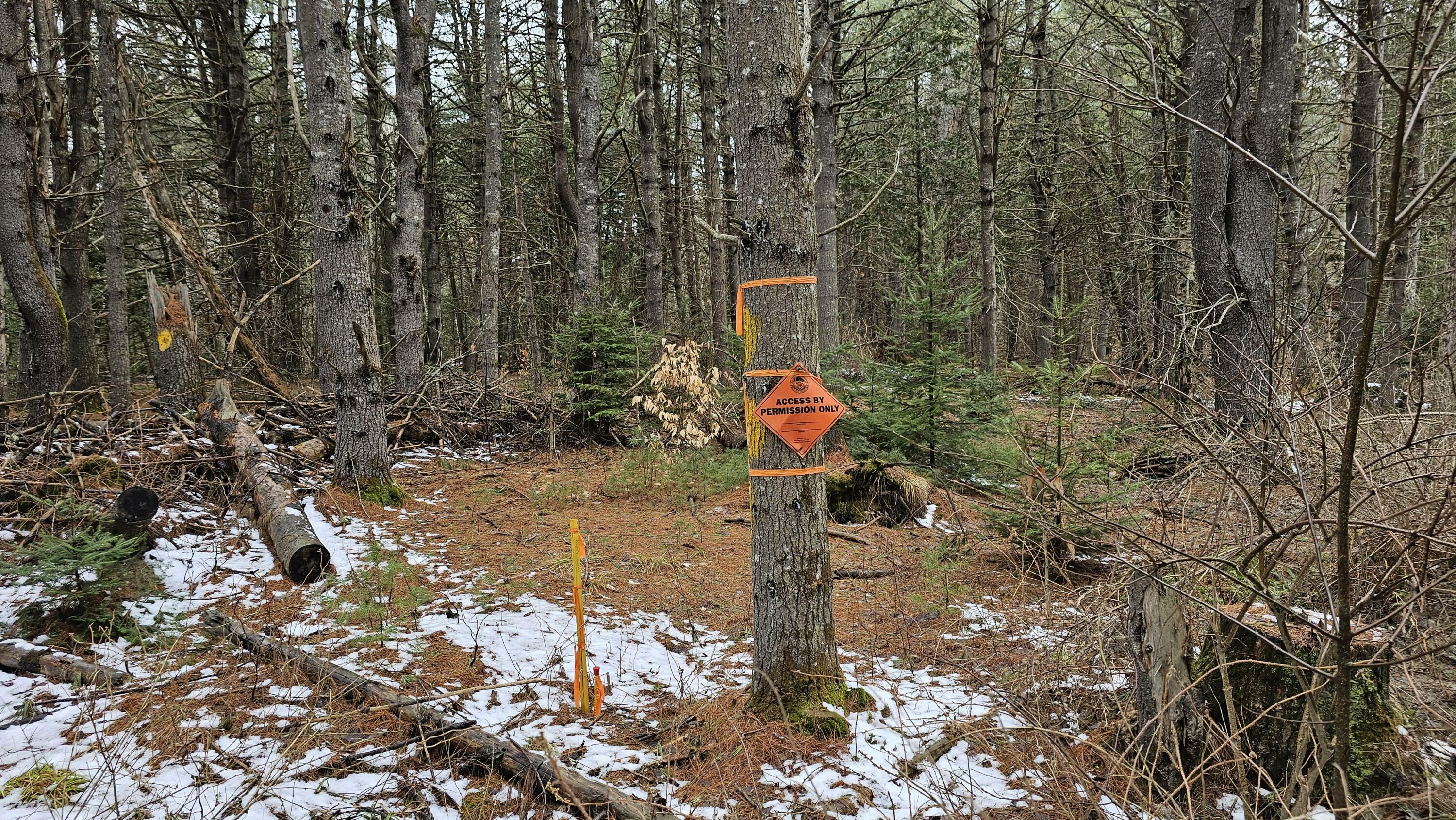 Property Photo: Lot 8 Murray Road ME 04953