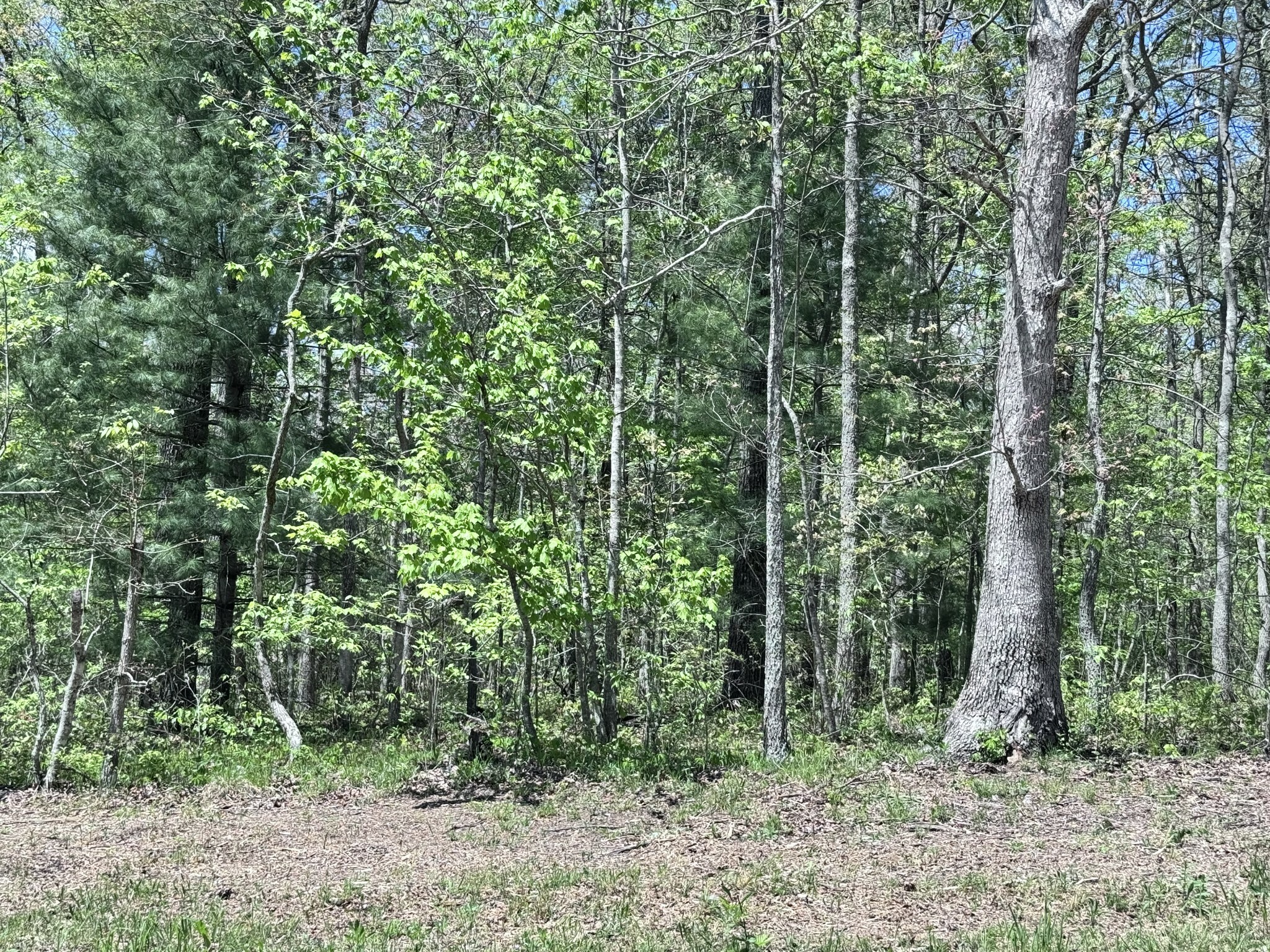 Property Photo: 1027 Natchez Trce TN 38572