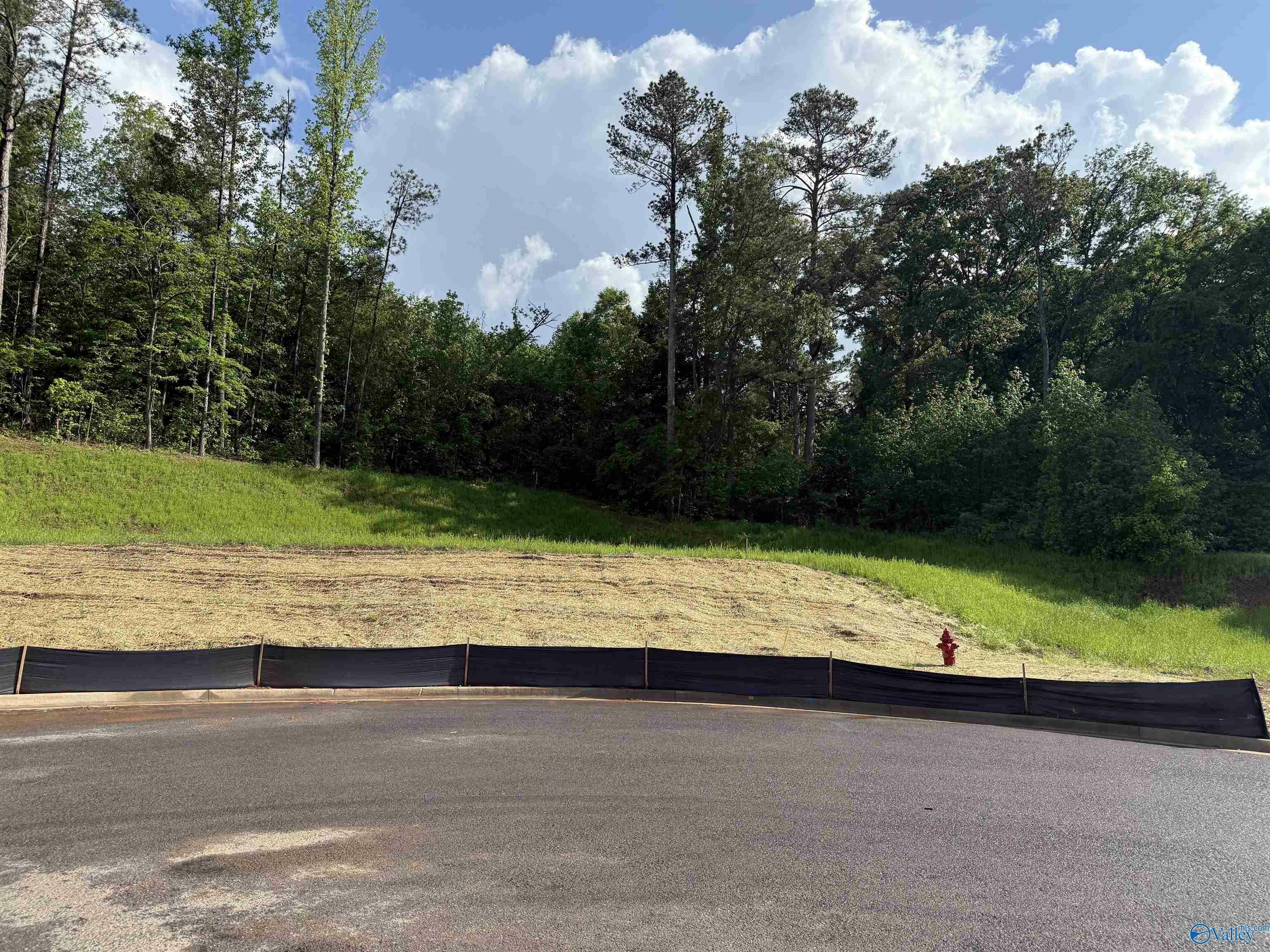 Property Photo: Lot 6 Tumbleweed Drive AL 35976