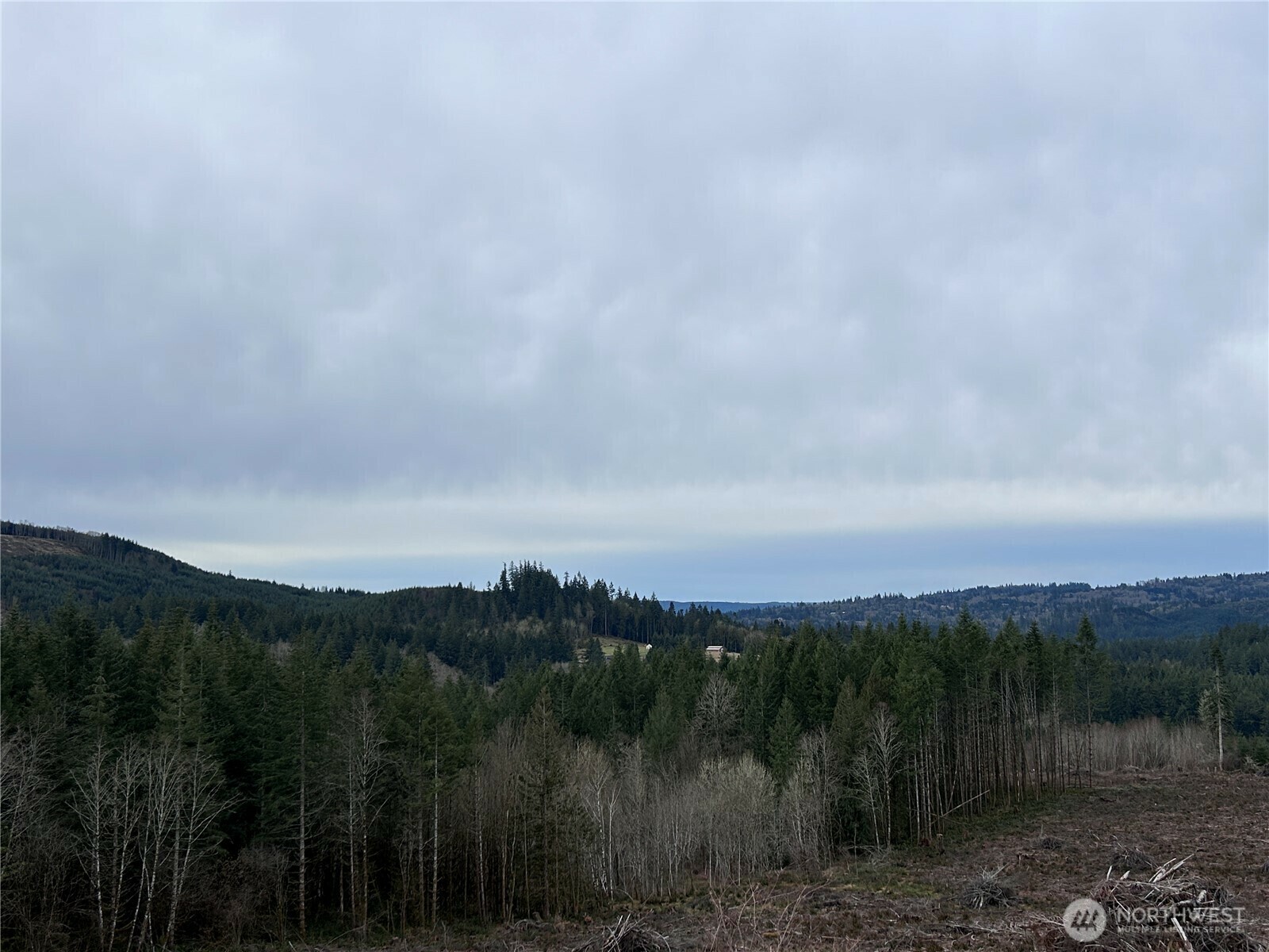 Property Photo: 0 Nka N Goble Creek Road WA 98626