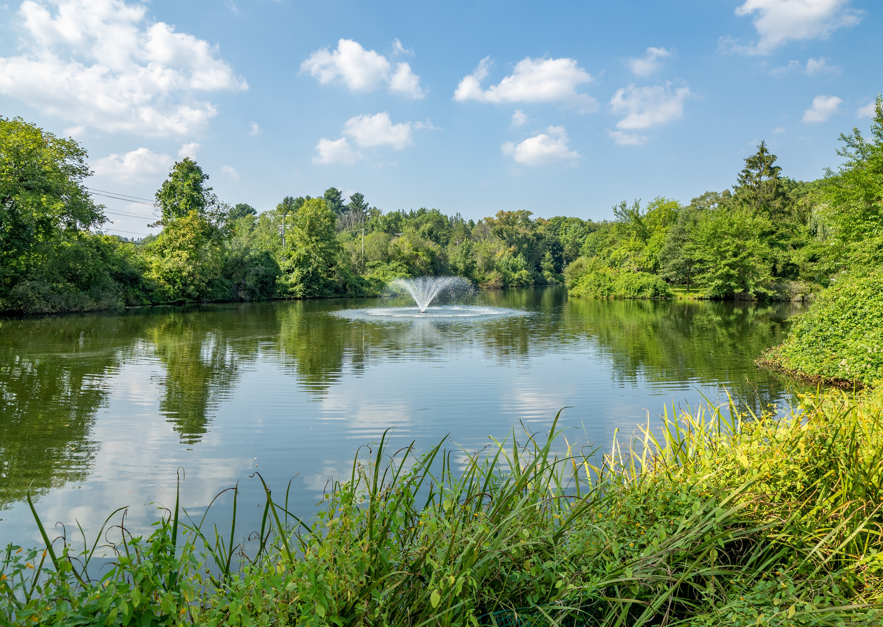 Property Photo: 1 Raspberry Lane 1 CT 06877