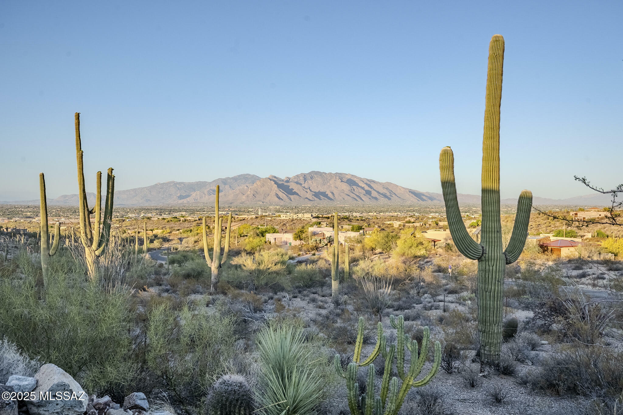 Property Photo: 5875 N Abington Road AZ 85743