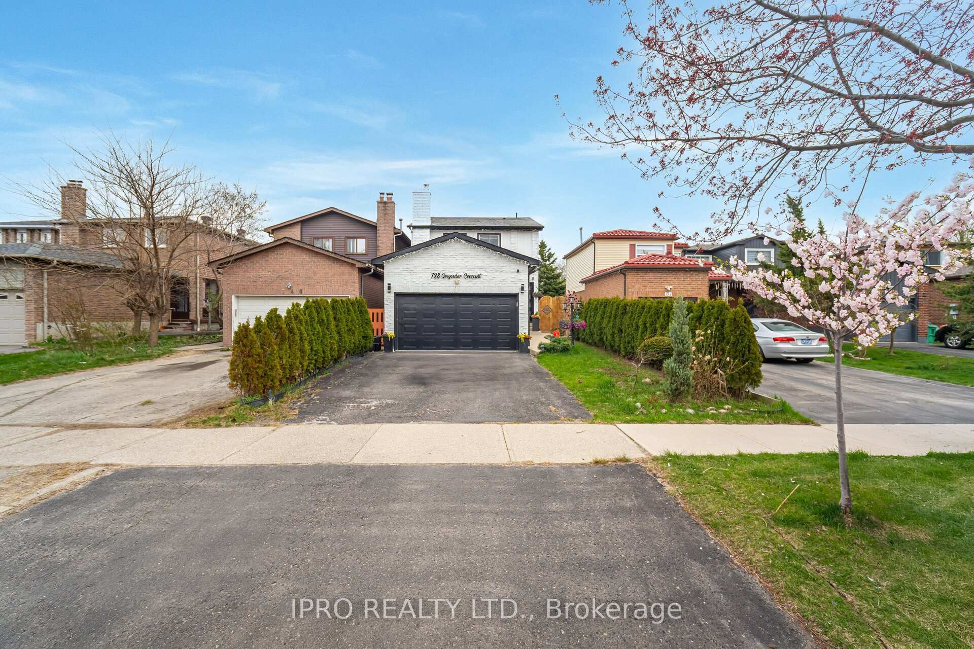 738 Greycedar Crescent  Mississauga ON L4W 3J8 photo