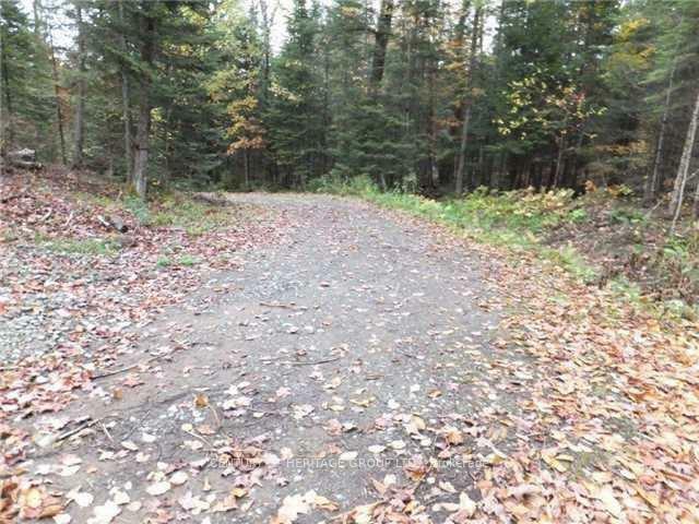 Property Photo:  1646 Kennisis Lake Road  ON K0L 1S0 