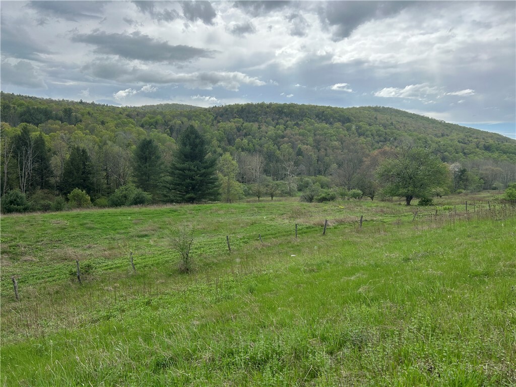 Property Photo: 6424 State Route 417 NY 14801
