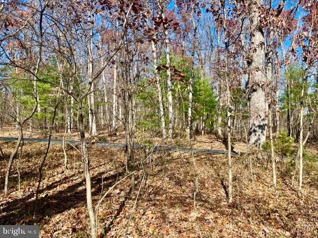 Property Photo:  Egypt Bend Road  VA 22835 