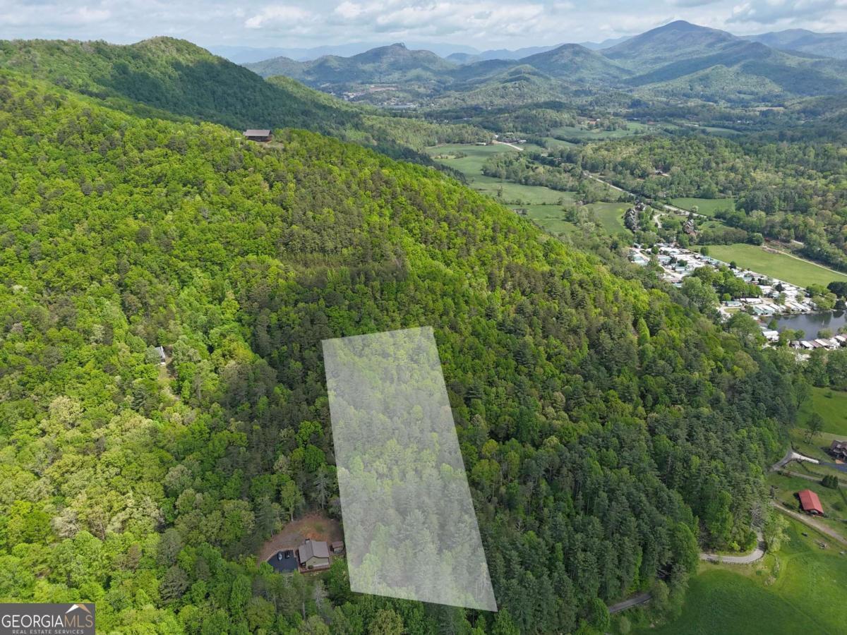 Property Photo: Tract 3C Riverside Drive GA 30546