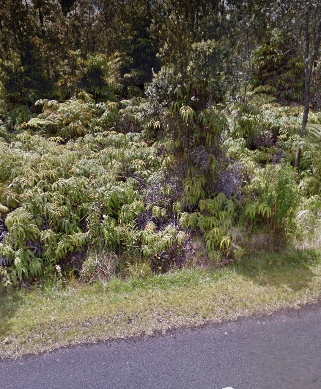 Property Photo: Mokuna St HI 96785