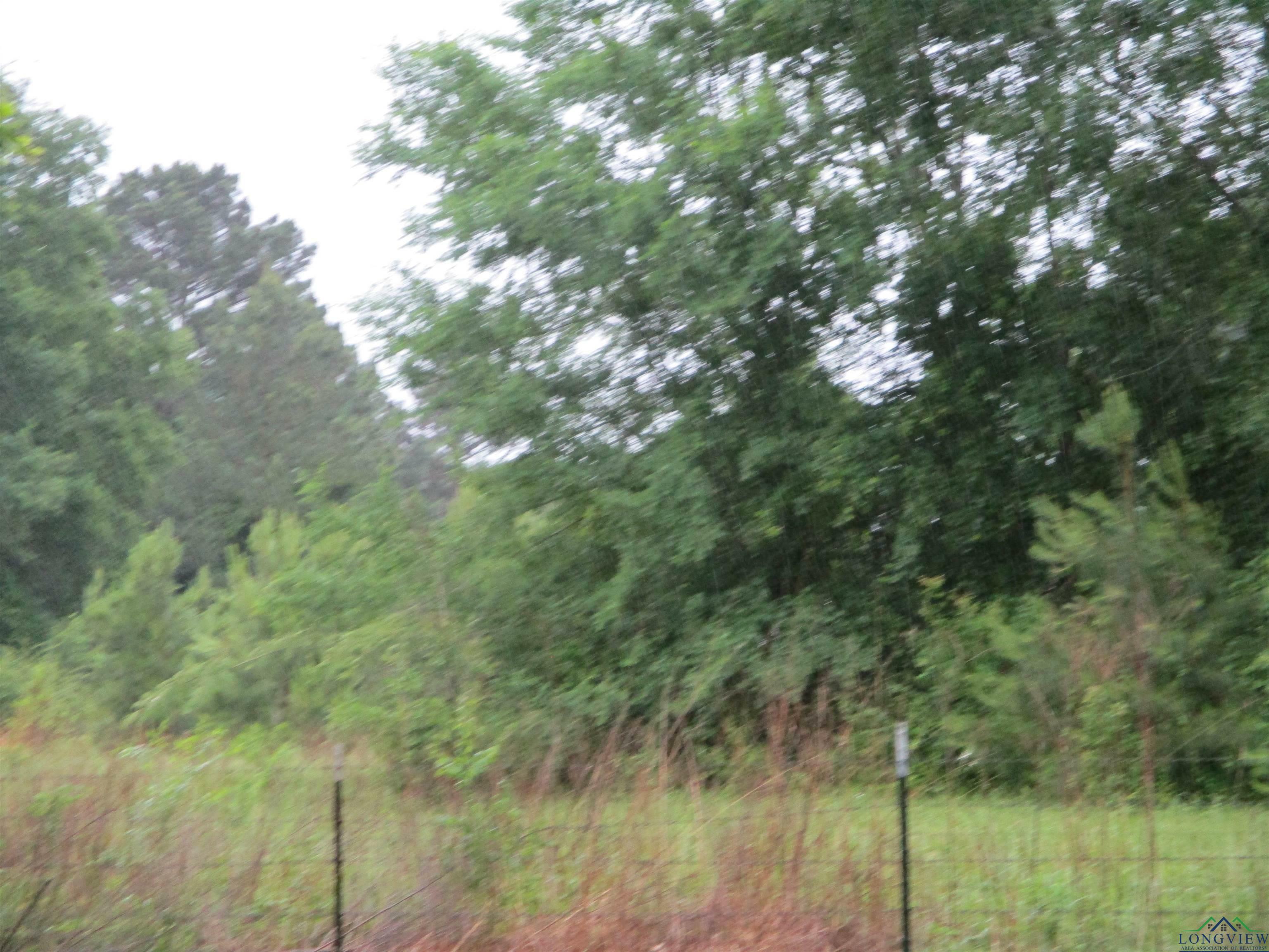 Property Photo: 0000 S Fm 839 TX 75654-0000