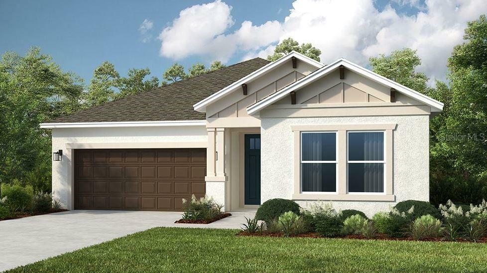 33284 Castaway Loop  Wesley Chapel FL 33543 photo