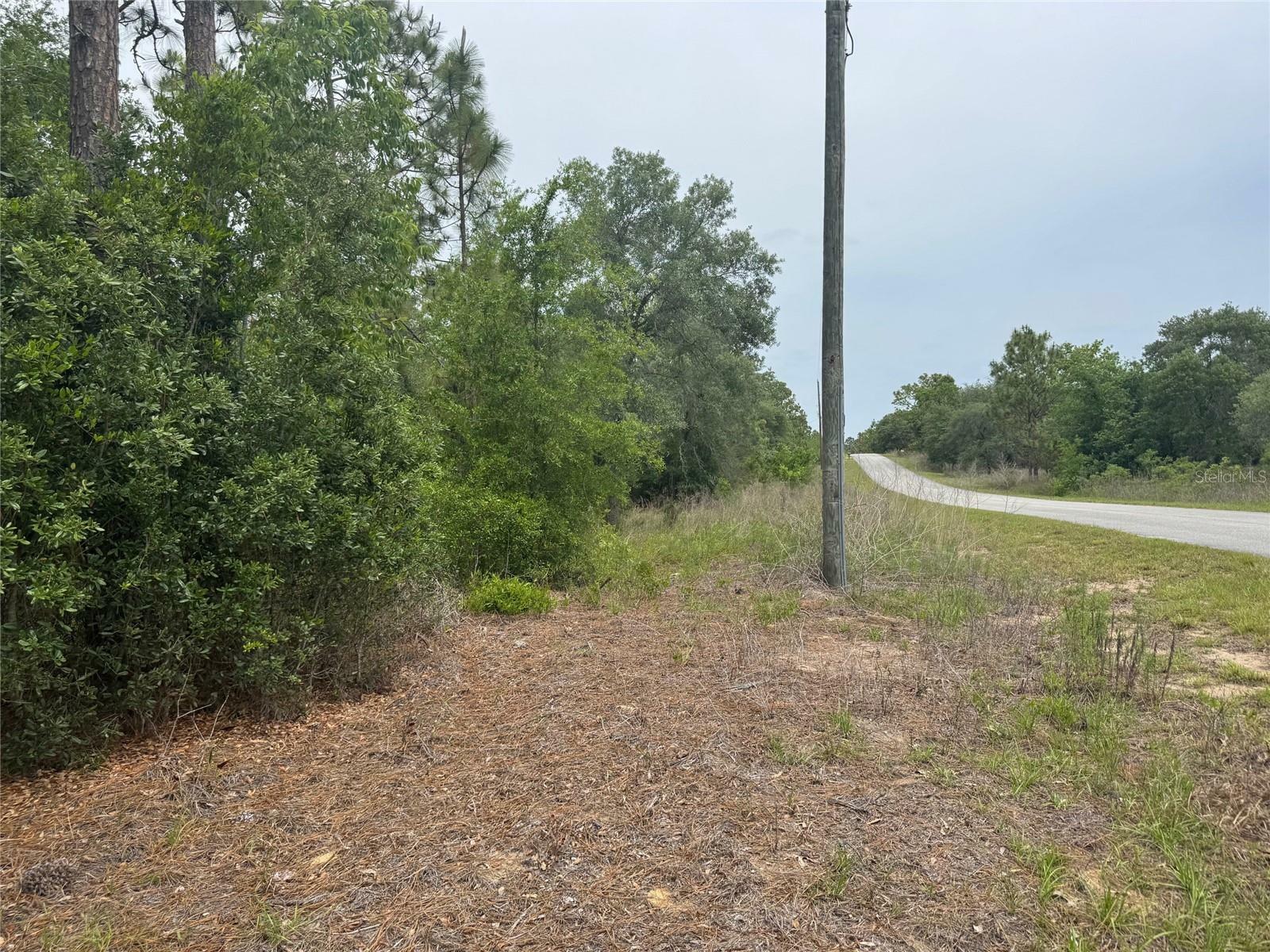 Property Photo: SW Floral Court Lot 12 FL 34431
