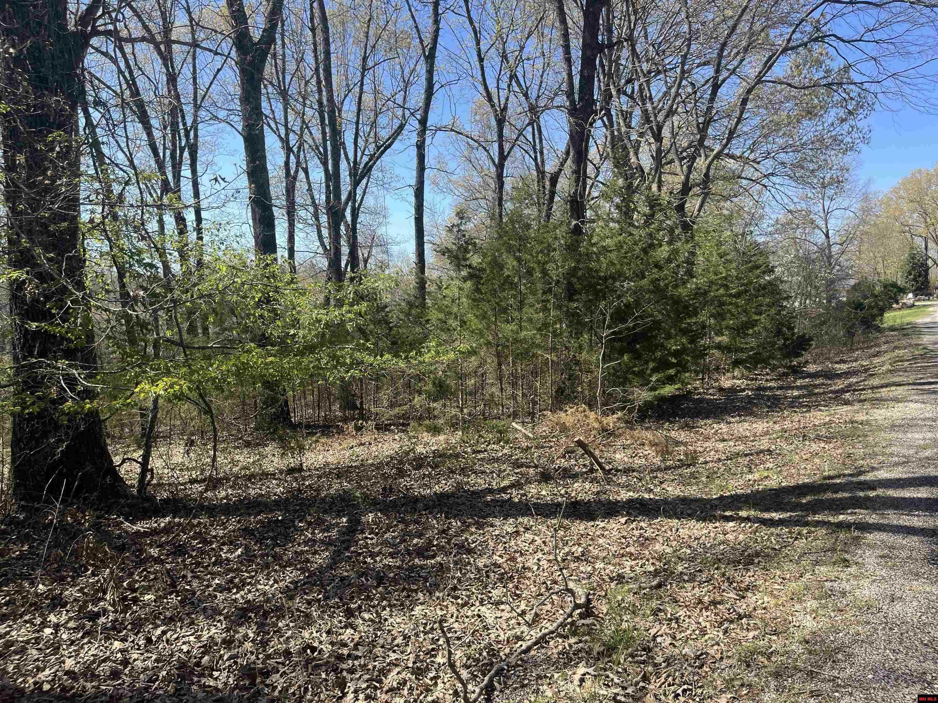 Property Photo: Lot 25 Lakepointe Drive AR 72634