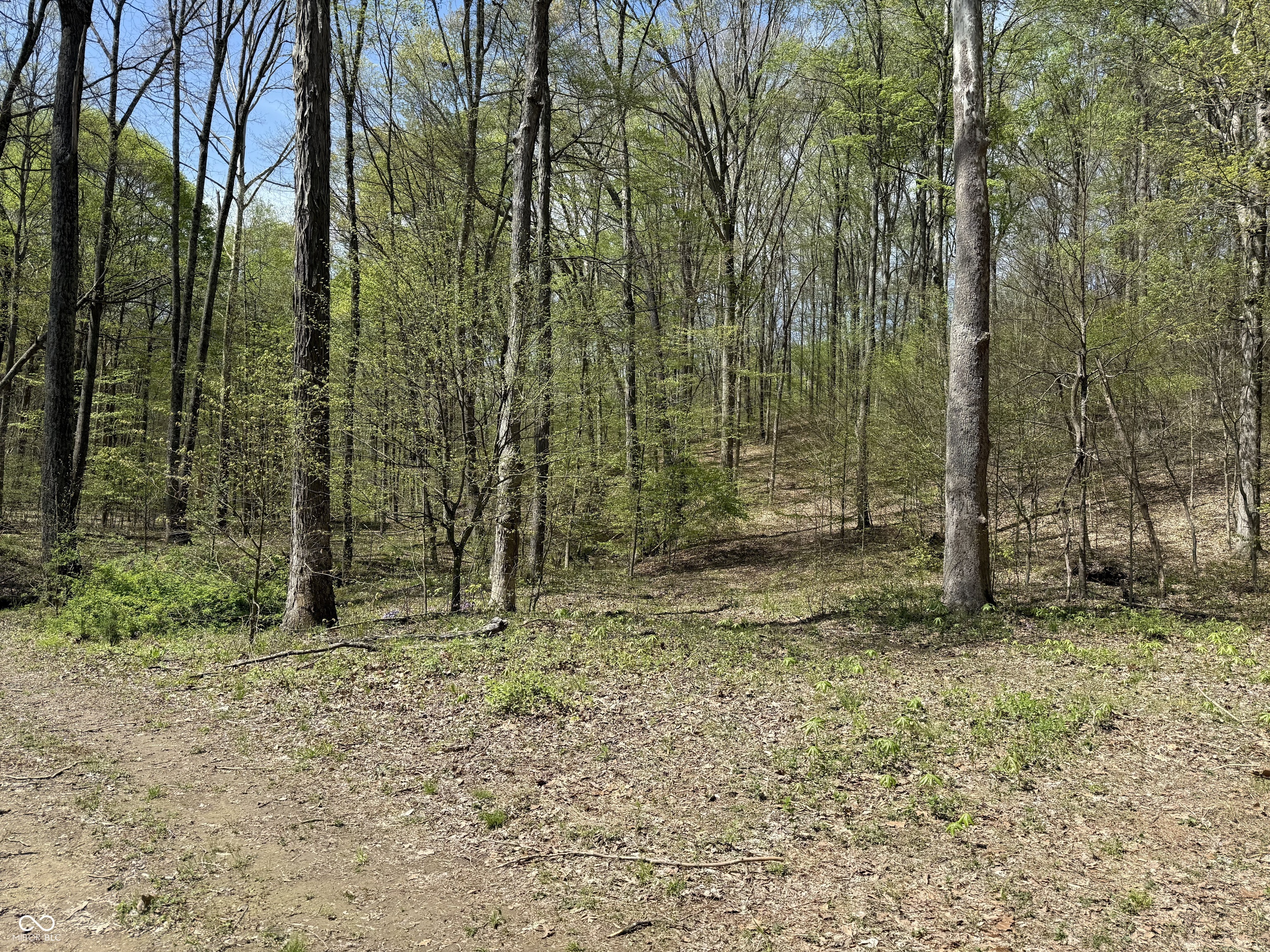 Property Photo: 8448 E Dobbs Cemetary Road IN 47201