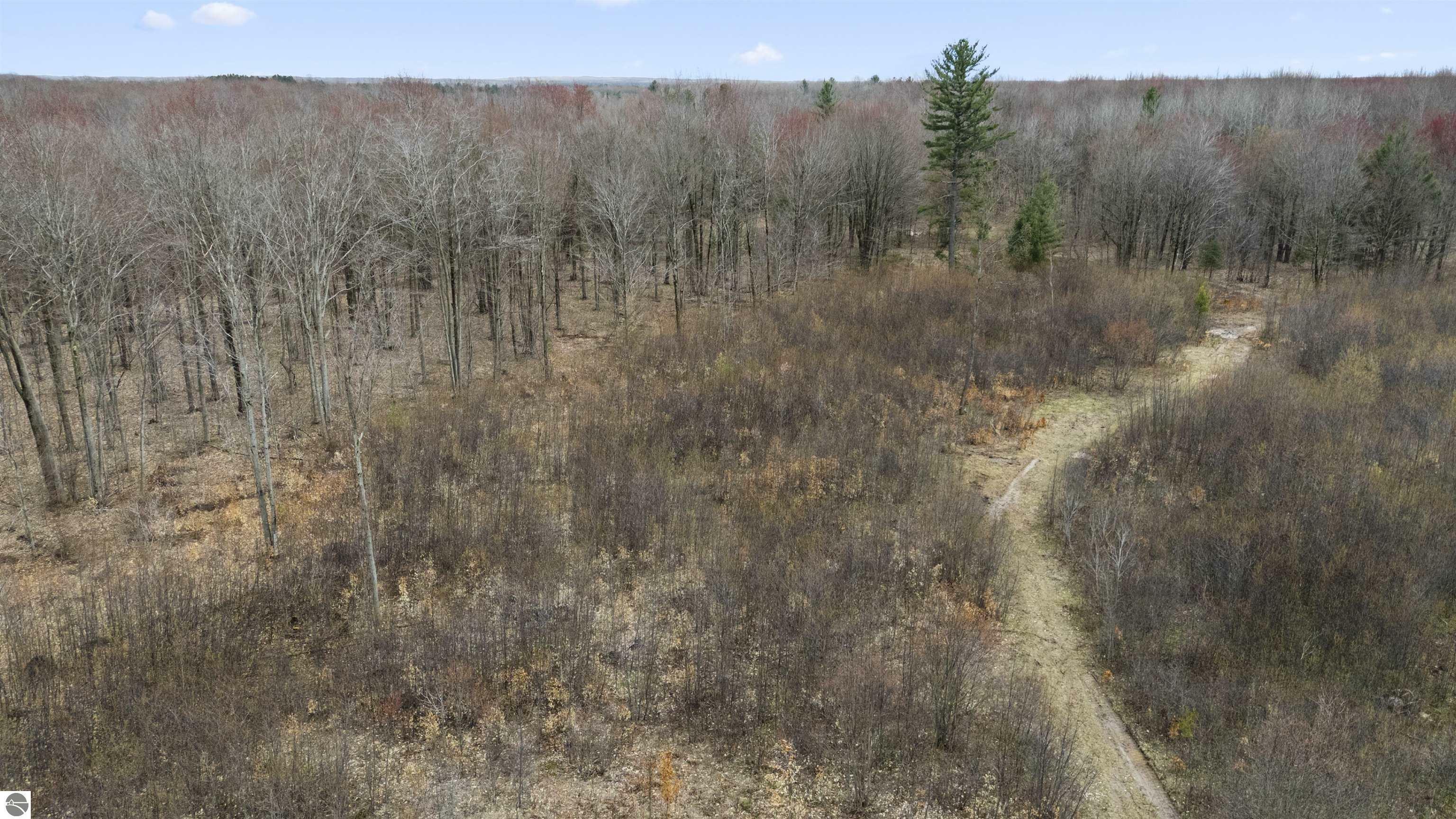 Property Photo: Parcel B E 32 Road Parcel B MI 49601