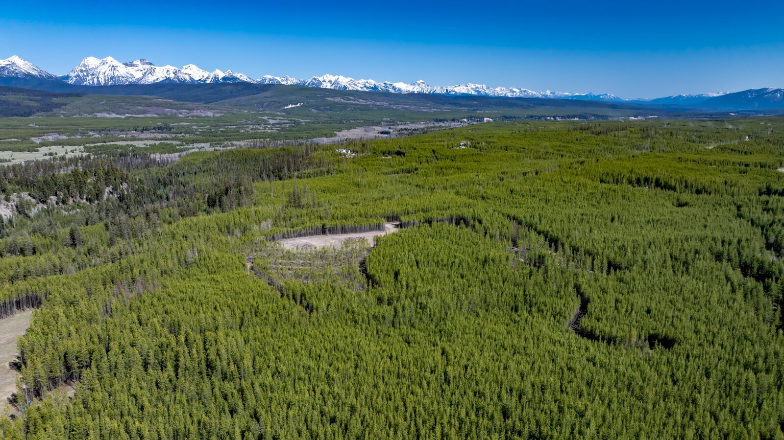 Property Photo: 11547 North Fork Road MT 59928