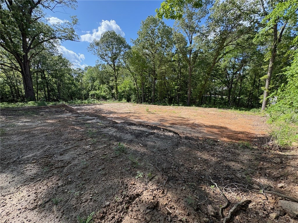 Property Photo: 1760 Lacy Lane AR 72601