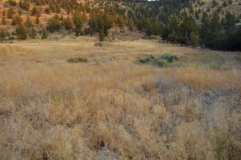 Property Photo: 7600 SW Crestview Road OR 97754