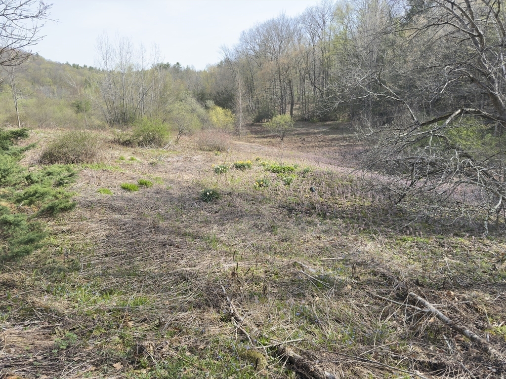 Property Photo: 138 E Buckland Road MA 01338