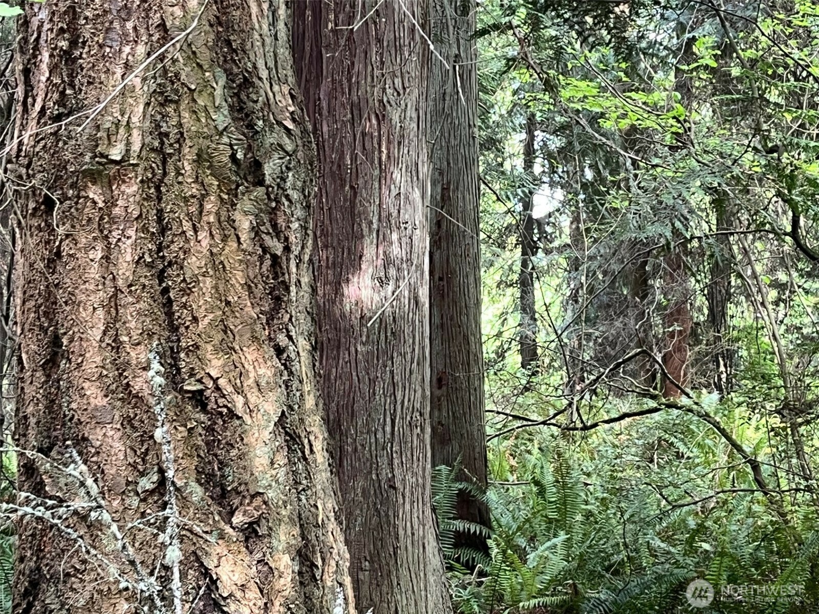 Property Photo: 0 Hoffman Road WA 98346