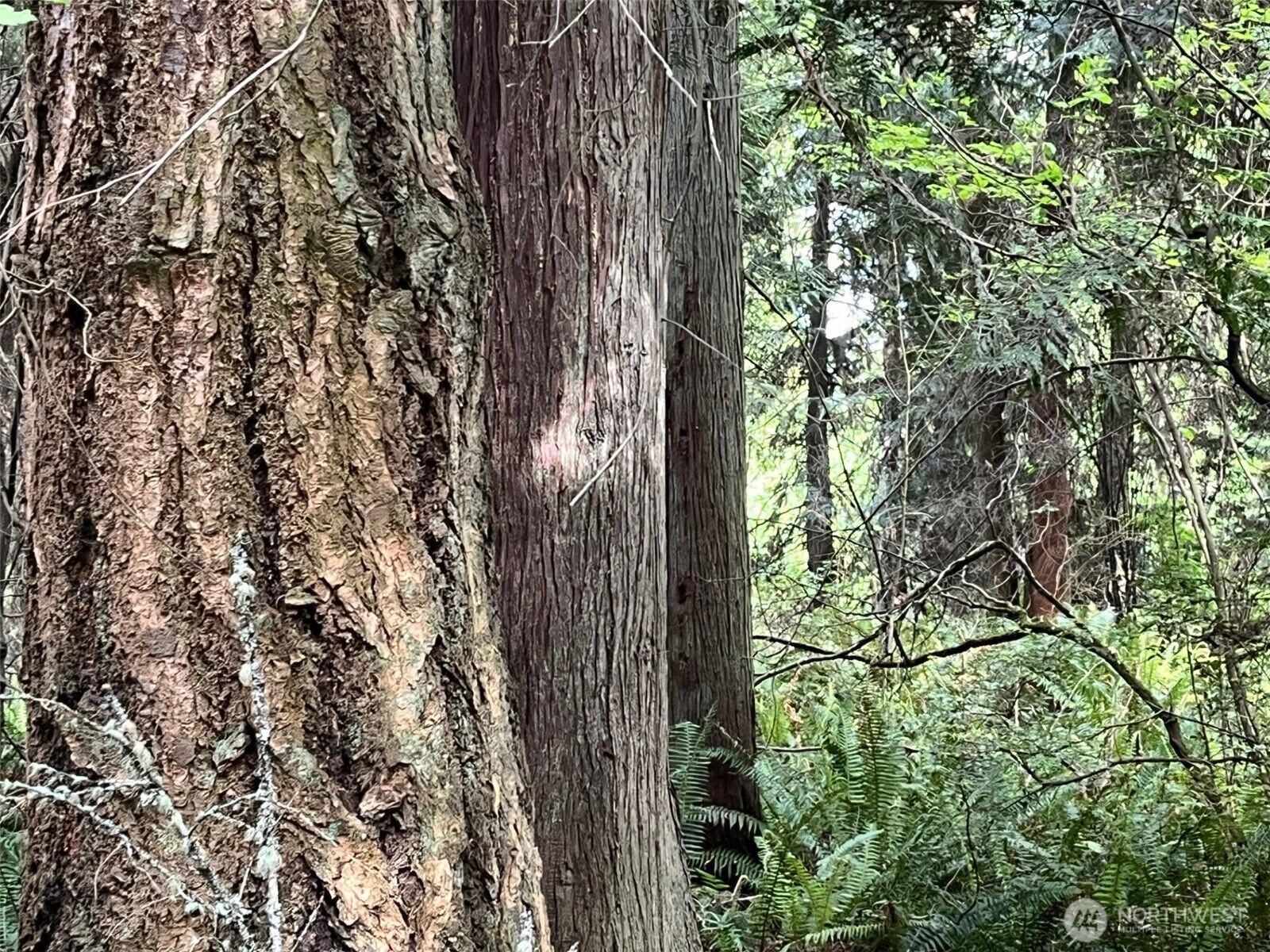 Property Photo:  0  Hoffman Road  WA 98346 
