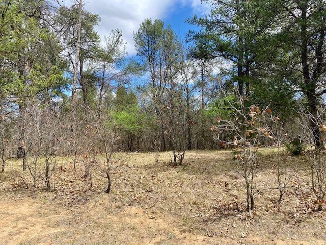 Property Photo: Lot 1 Ridgewood WI 53934