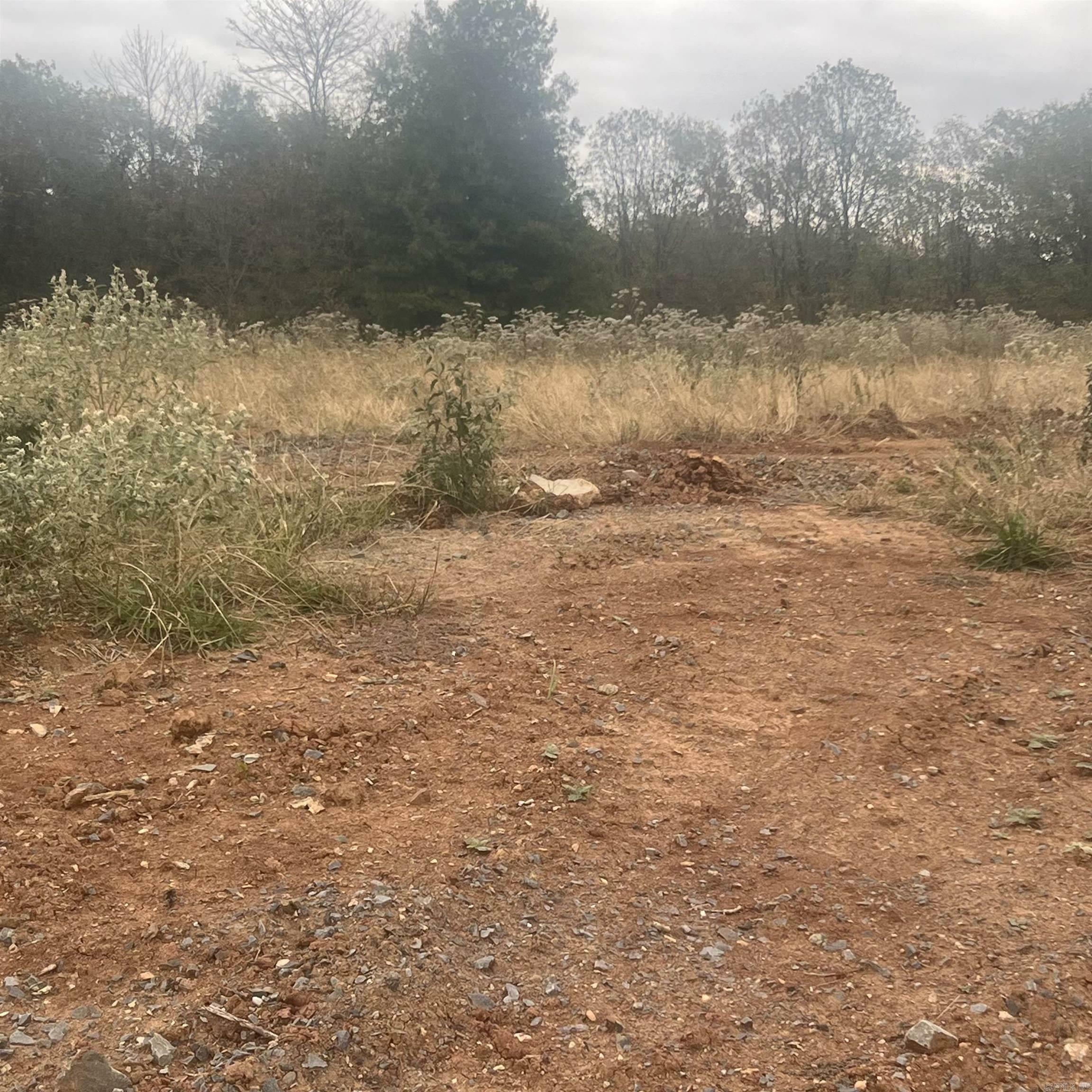 Property Photo: 523 Corondelet Lane AR 72113
