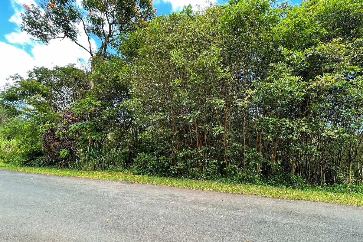 Property Photo: Ocean View Pkwy HI 96778