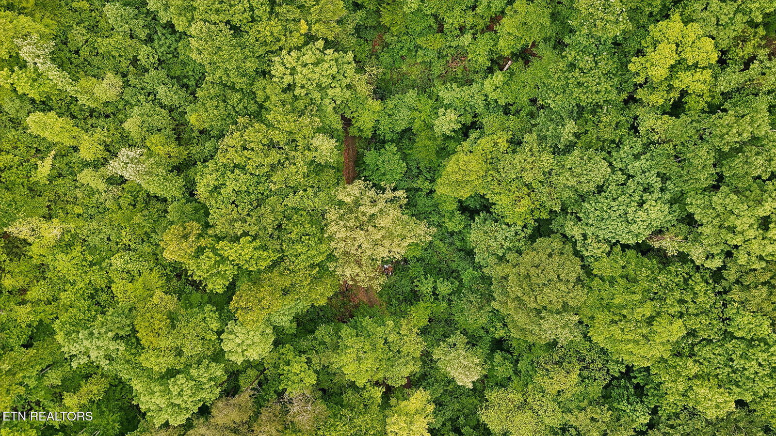 Property Photo:  201 Birch Hollow Rd  TN 37807 