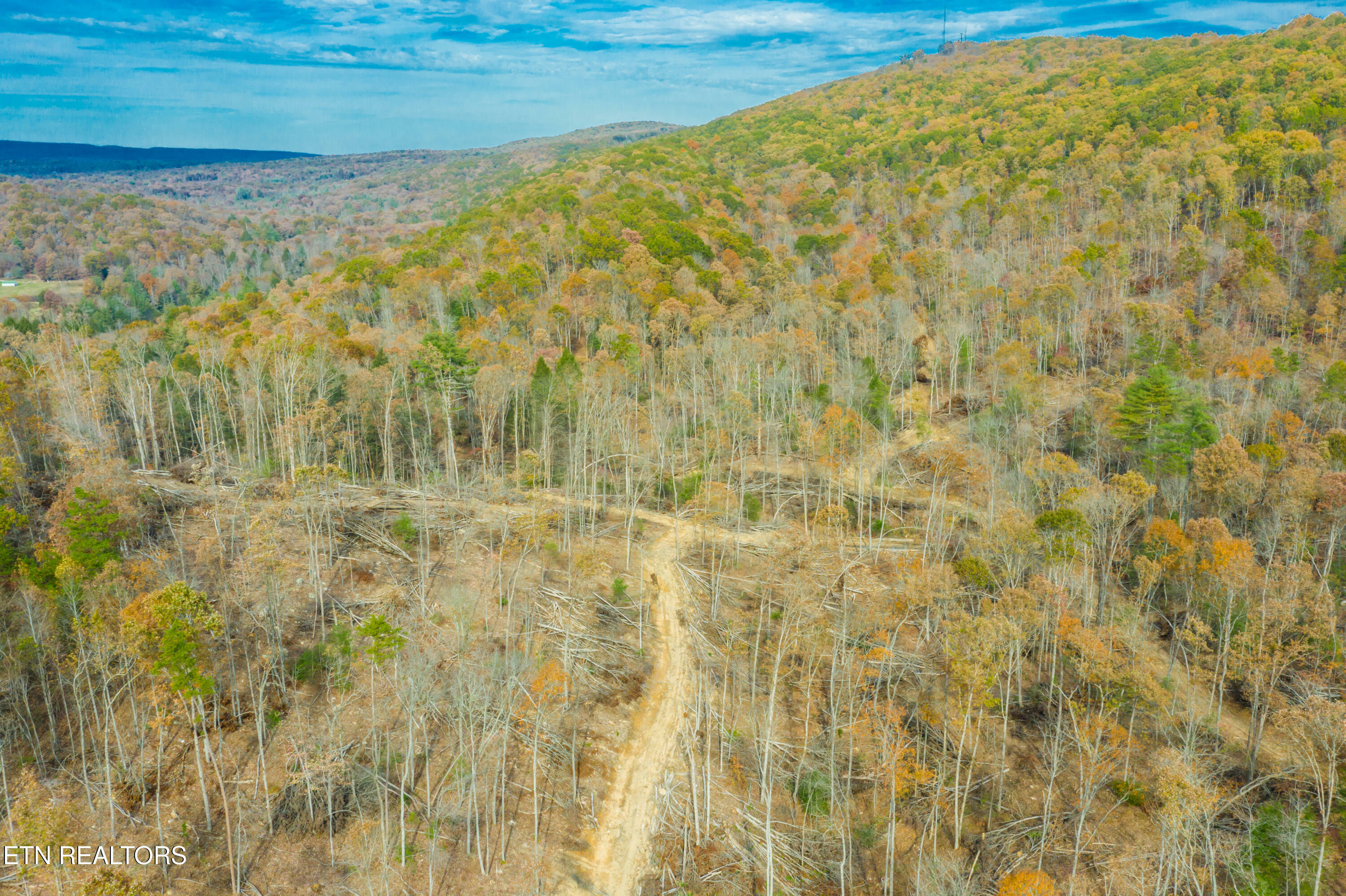 Tower Rd  Rockwood TN 37854 photo
