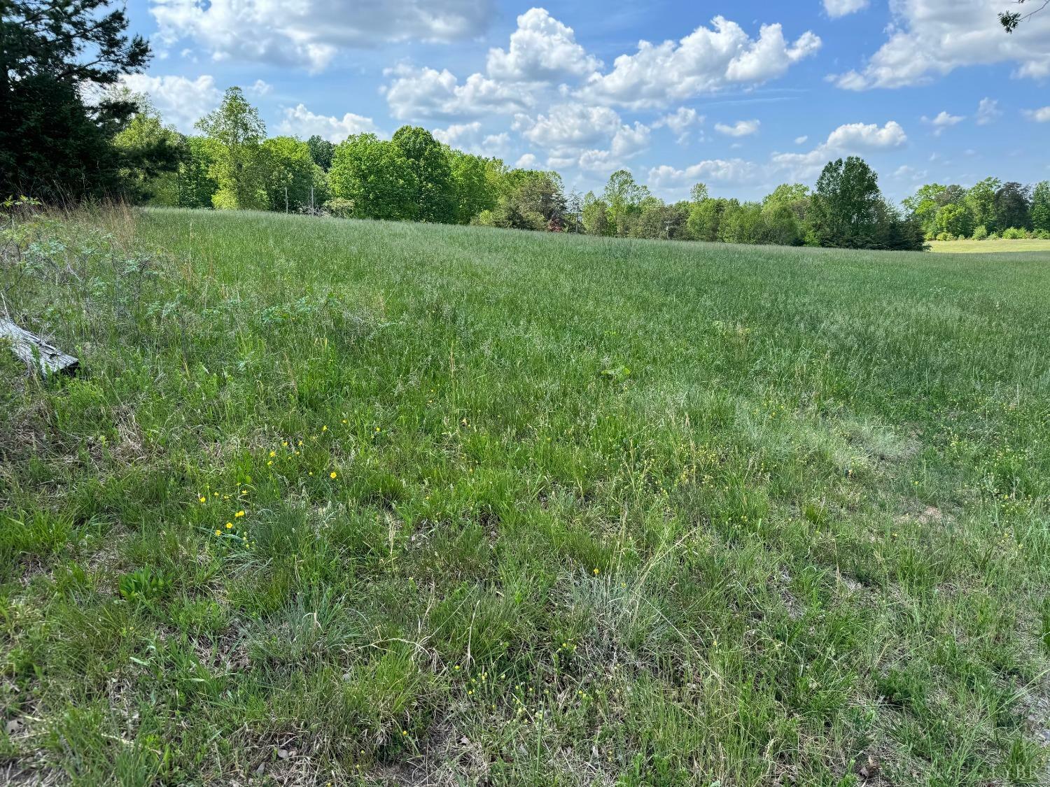 Property Photo: 0 Shula Drive VA 24563