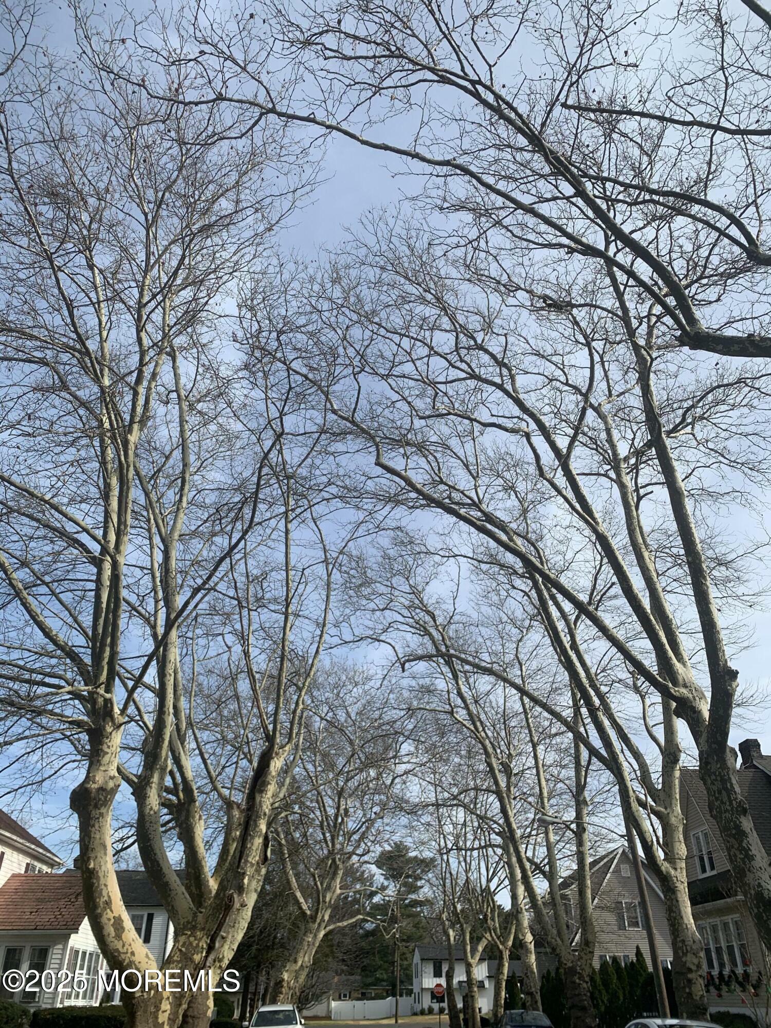 Property Photo: 9 Norwood Court NJ 07764