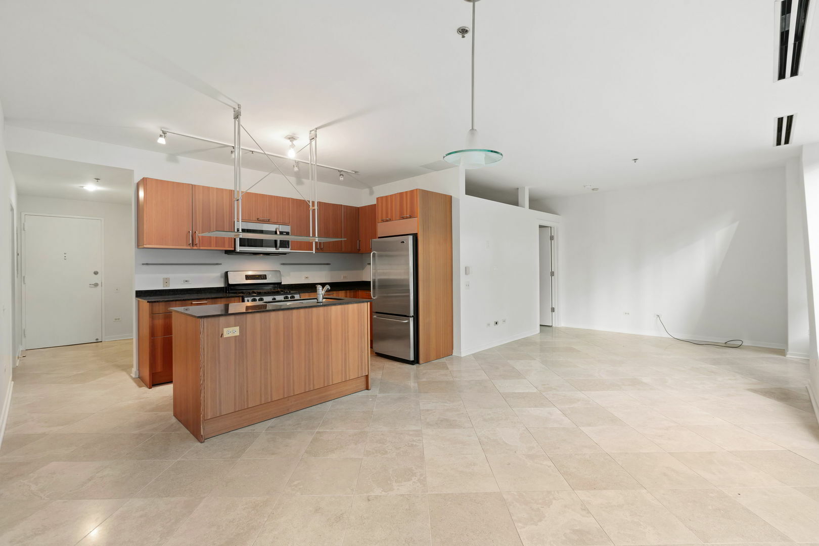 Property Photo: 510 W Erie Street 508 IL 60654