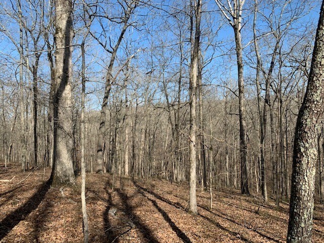 Property Photo: 146 Quail Ridge Rd TN 38483