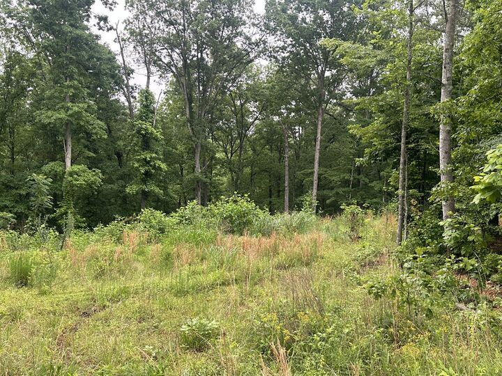 146 Quail Ridge Rd  Summertown TN 38483 photo