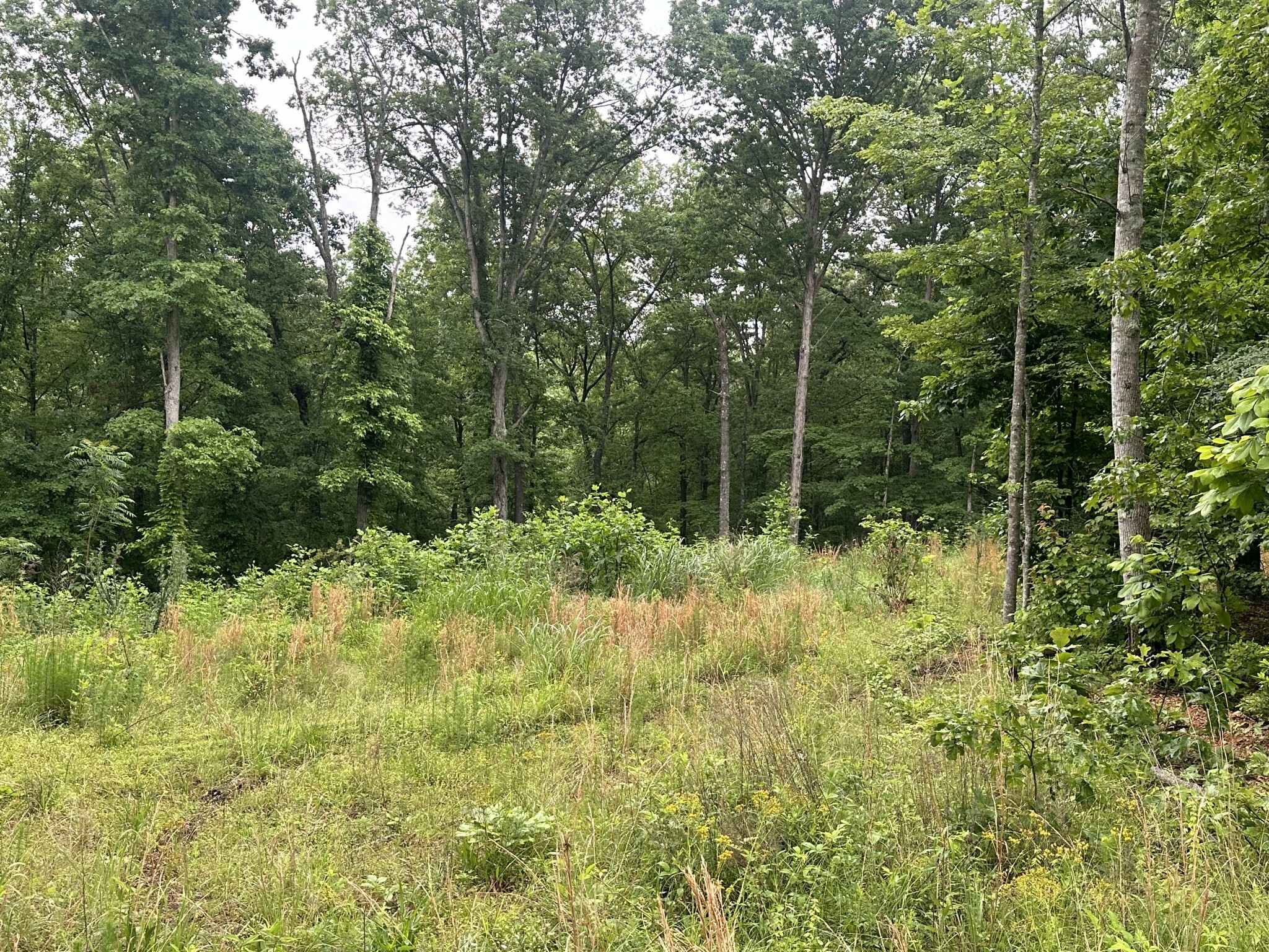 Property Photo: 146 Quail Ridge Rd TN 38483