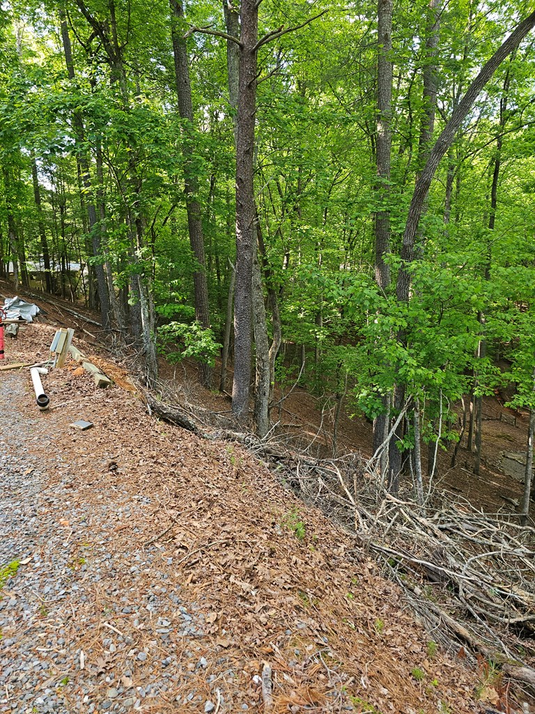Property Photo:  133 32nd Street  GA 30540 