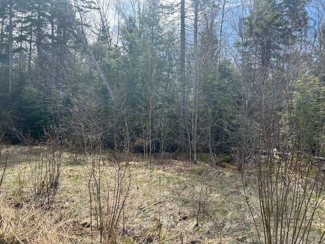 Photo de la propriété:  Lot B13 Woodville Road  NS B0N 2A0 