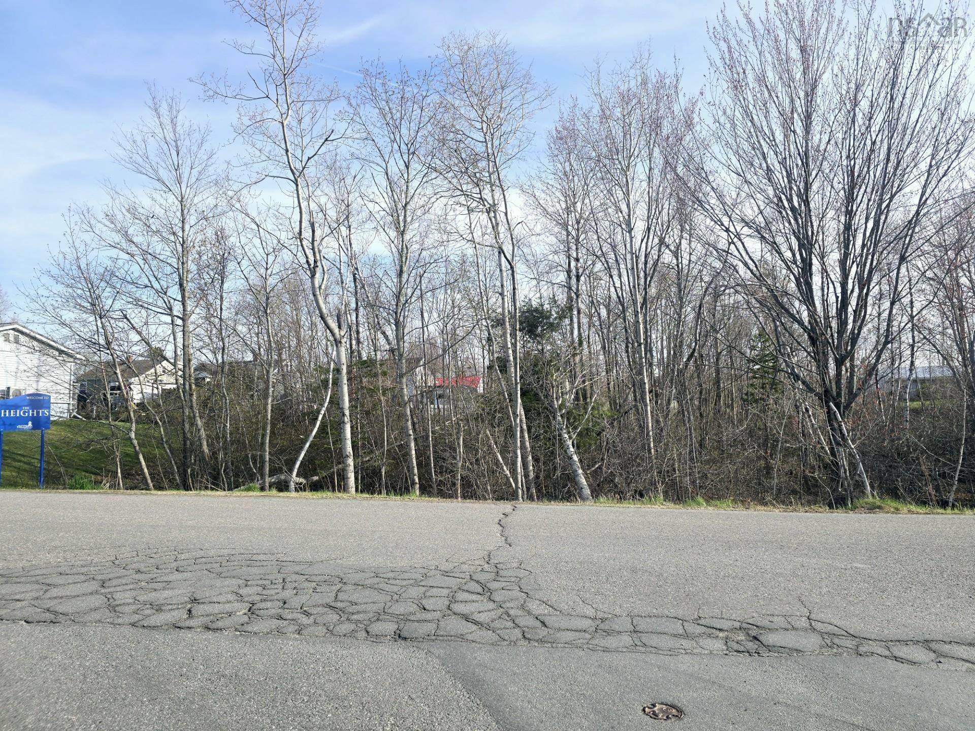Property Photo:  Lot Belmont Avenue  NS B0K 1S0 